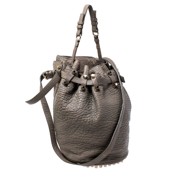 ALEXANDER WANG Taupe Textured Leather Diego Bucket Bag - Picture 3 of 9